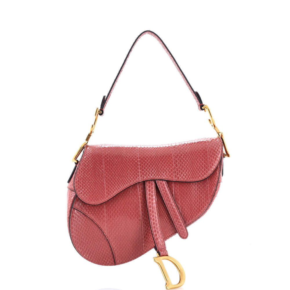 Christian Dior Medium Saddle Handbag Python